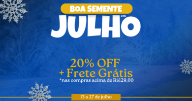 Festival de Inverno